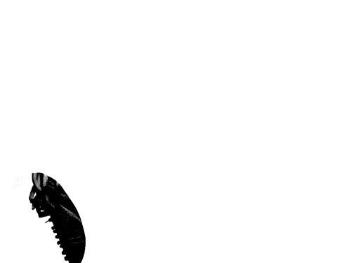 Photoshop快速抠出篮子里的猫咪插图10