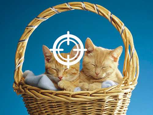 Photoshop快速抠出篮子里的猫咪插图15