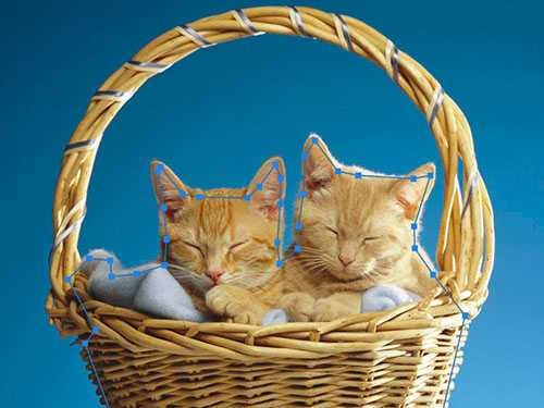 Photoshop快速抠出篮子里的猫咪插图4