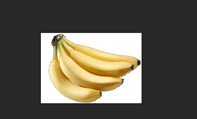 Photoshop详细解析套索工具的抠图技巧插图12