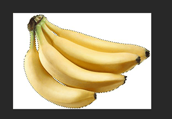 Photoshop详细解析套索工具的抠图技巧插图14