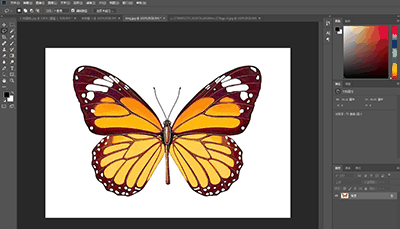 Photoshop详细解析套索工具的抠图技巧插图1