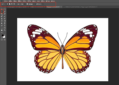 Photoshop详细解析套索工具的抠图技巧插图2