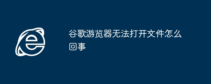 谷歌游览器无法打开文件怎么回事插图 谷歌游览器无法打开文件怎么回事