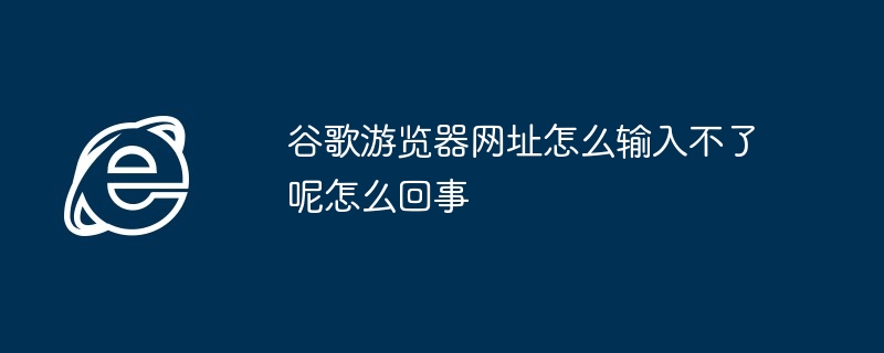 谷歌游览器网址怎么输入不了呢怎么回事