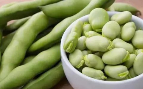 蚕豆含有毒物质生吃会得病？假的不要相信了