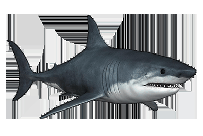 创意合成,通过PS制作鲨鱼在橙子里游泳的创意画面插图2 创意合成,通过PS制作鲨鱼在橙子里游泳的创意画面