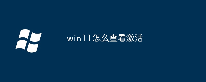 win11怎么查看激活插图 win11怎么查看激活