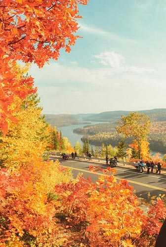 PS调色制作金色梦幻效果的秋季风景照片教程插图2