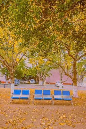 PS调色制作金色梦幻效果的秋季风景照片教程插图5