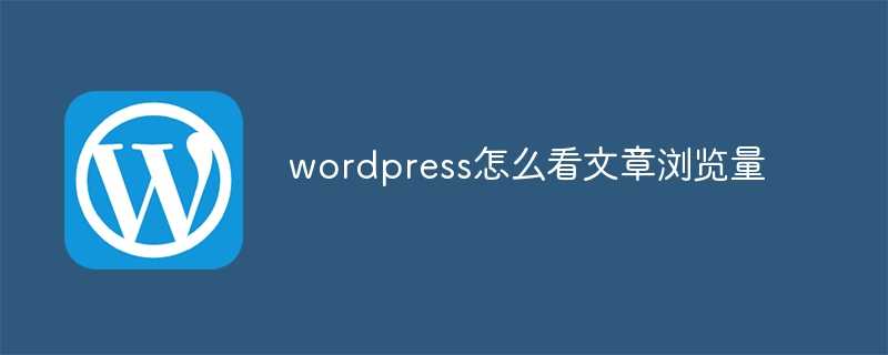 wordpress怎么看文章浏览量