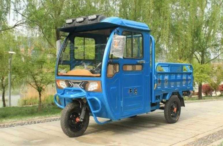 河南三蹦子已卖爆20多国 售价翻了六七倍!插图 三轮车