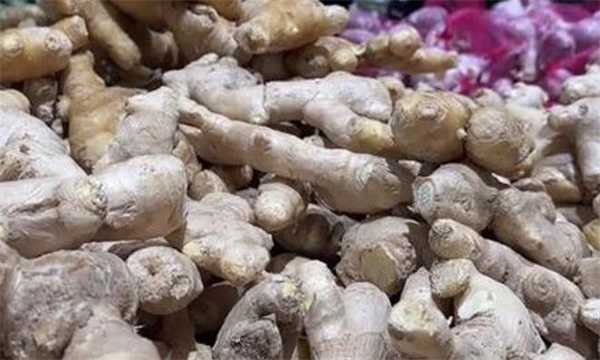 老板为何关店求退款 生姜标错价亏300万