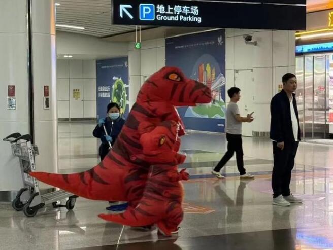 父子扮恐龙去机场接支教妈妈回家 场面太逗了插图 父子扮恐龙去机场接支教妈妈回家