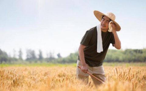 央视曝光量子科技新骗局 这些农民容易上当受骗