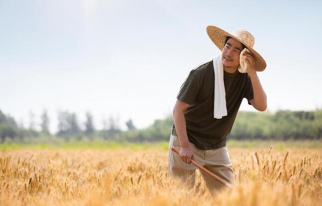 央视曝光量子科技新骗局 这些农民容易上当受骗