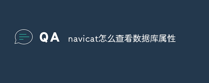 navicat怎么查看数据库属性