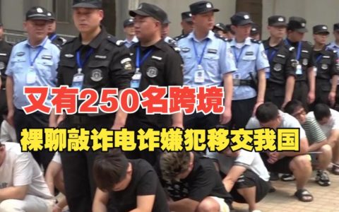 250名电诈嫌犯被移交中国 又诈骗又裸聊敲诈