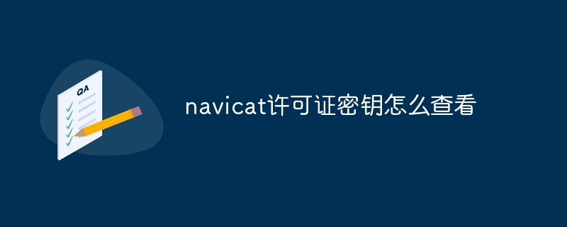 navicat许可证密钥怎么查看插图 navicat许可证密钥怎么查看