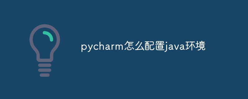 pycharm怎么配置java环境
