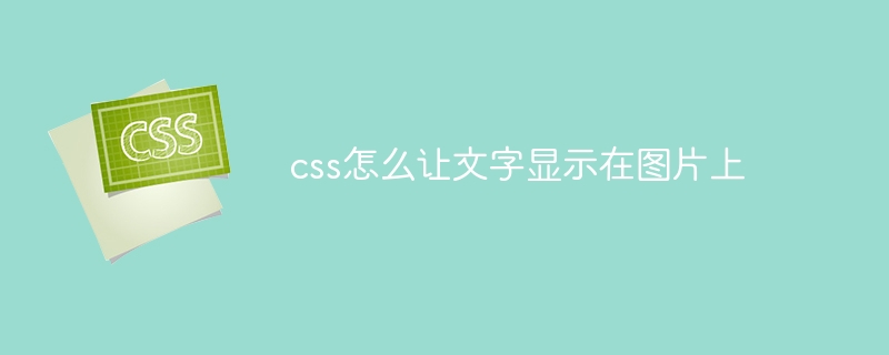 css怎么让文字显示在图片上