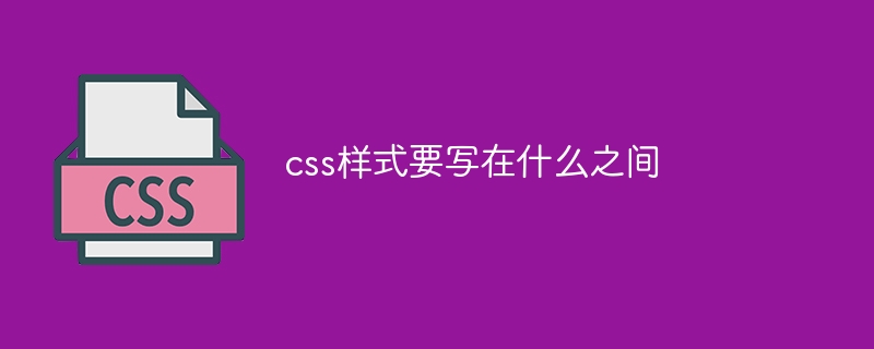 css样式要写在什么之间