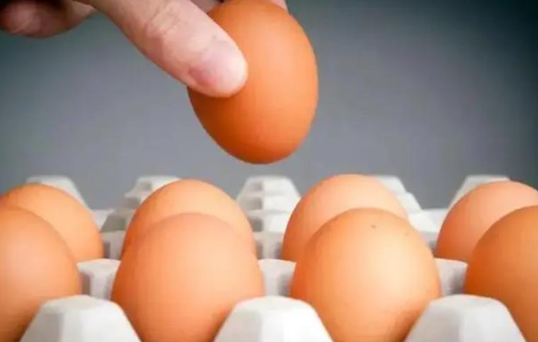 夫妻养2.8万只鸡为省人工自己捡蛋 1分钟能捡上百个鸡蛋