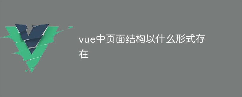vue中页面结构以什么形式存在