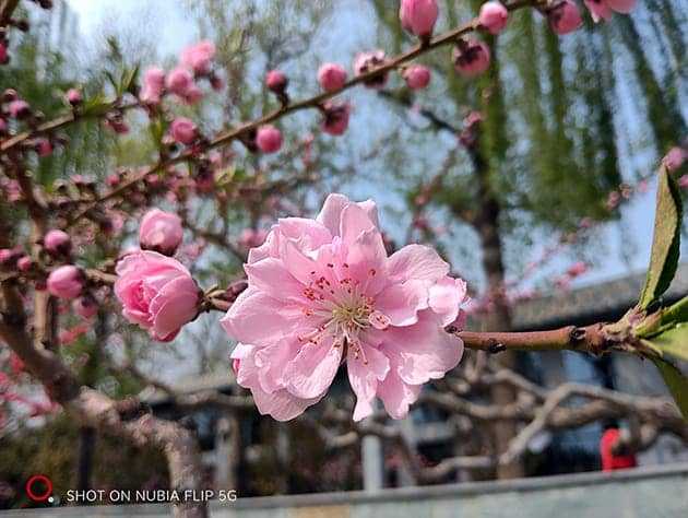 nubia Flip手机怎么样 nubia Flip手机详细评测插图15