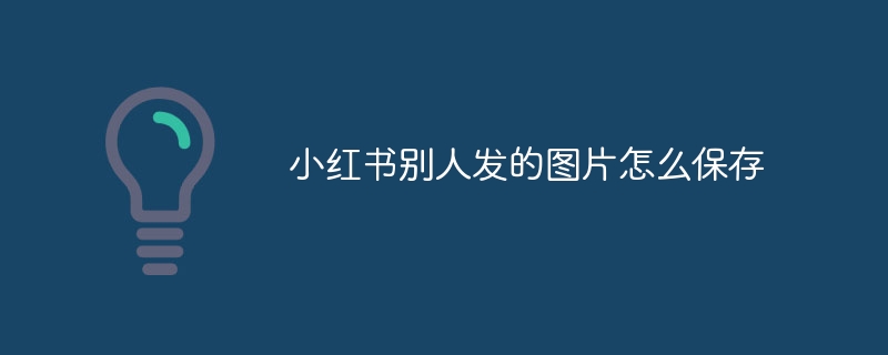 小红书别人发的图片怎么保存