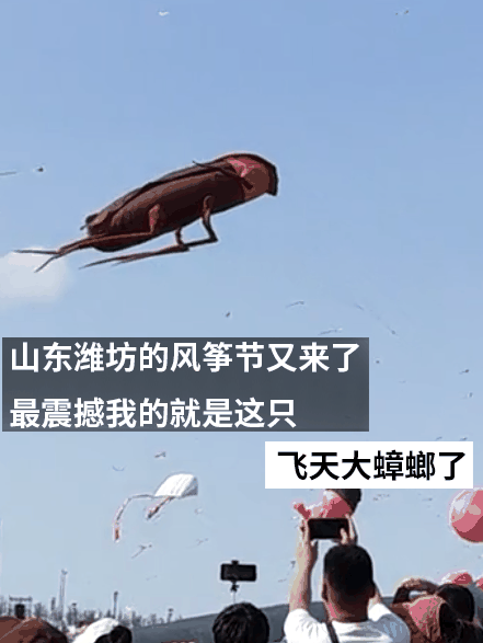 潍坊风筝节惊现飞天蟑螂！广东人急呼再放个拖鞋上去