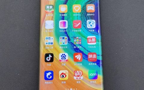 廉颇老矣，尚能饭否？