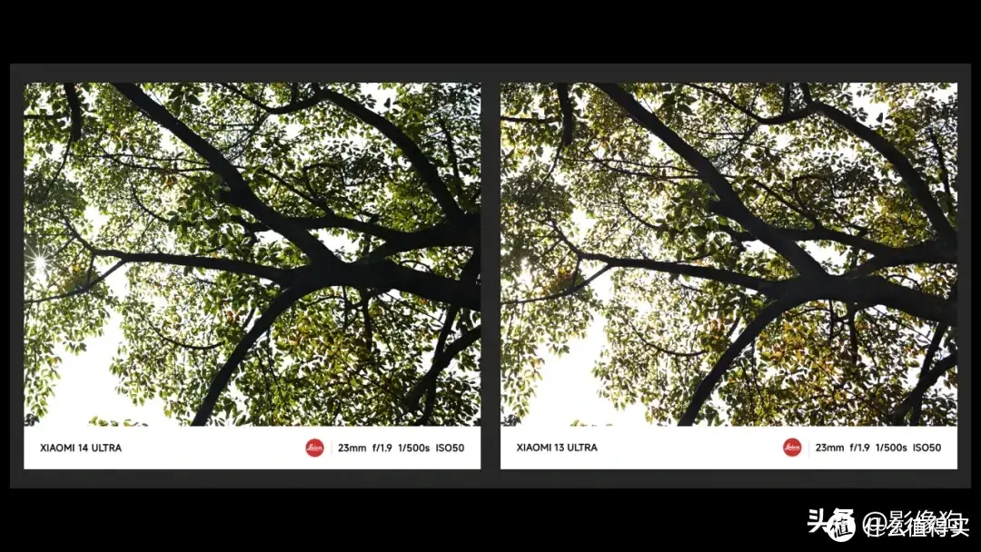 普通人的“相机终结者”？小米14Ultra 手机影像测评