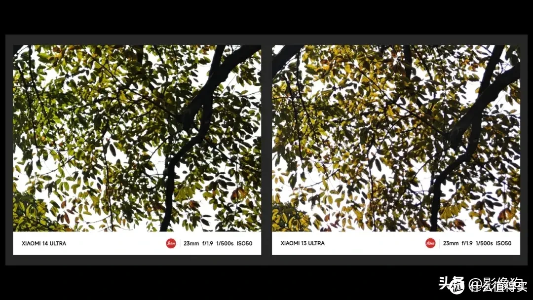 普通人的“相机终结者”？小米14Ultra 手机影像测评