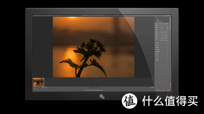 普通人的“相机终结者”？小米14Ultra 手机影像测评