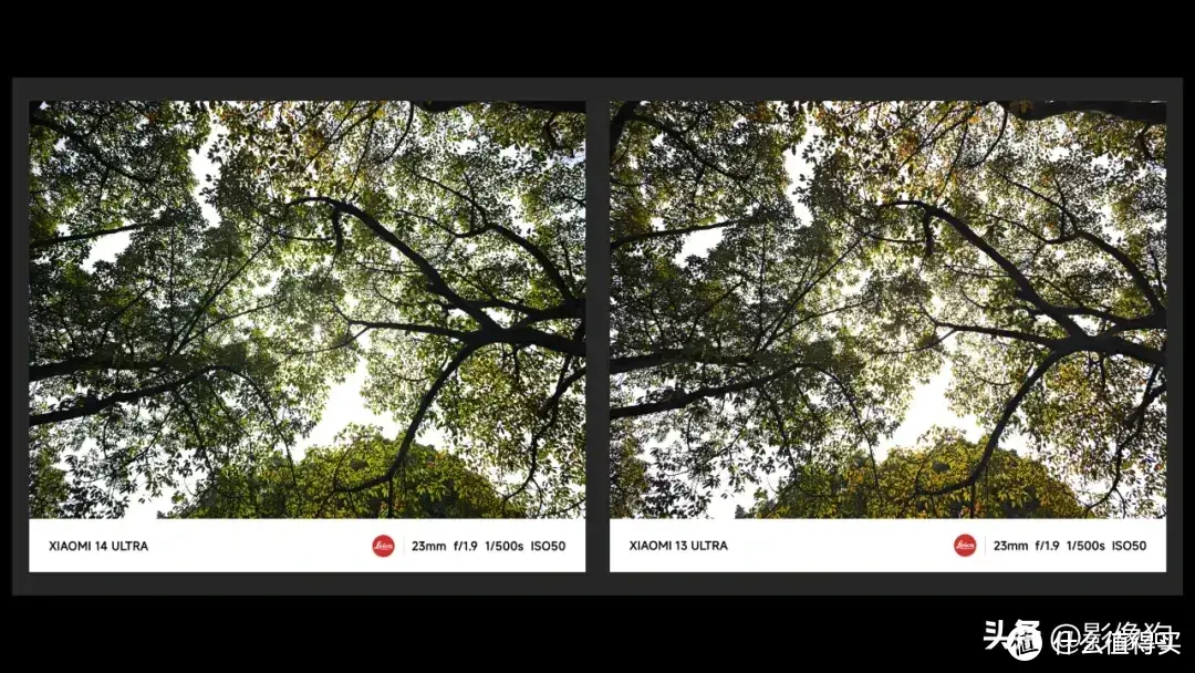 普通人的“相机终结者”？小米14Ultra 手机影像测评