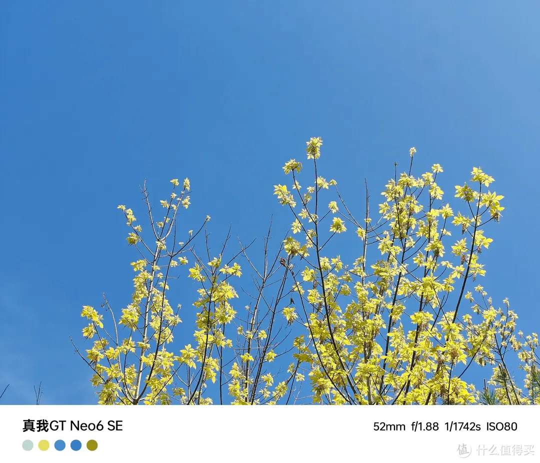 1699元起,全新“射门员”真我GT Neo6 SE上手评测!插图15 1699元起,全新“射门员”真我GT Neo6 SE上手评测!