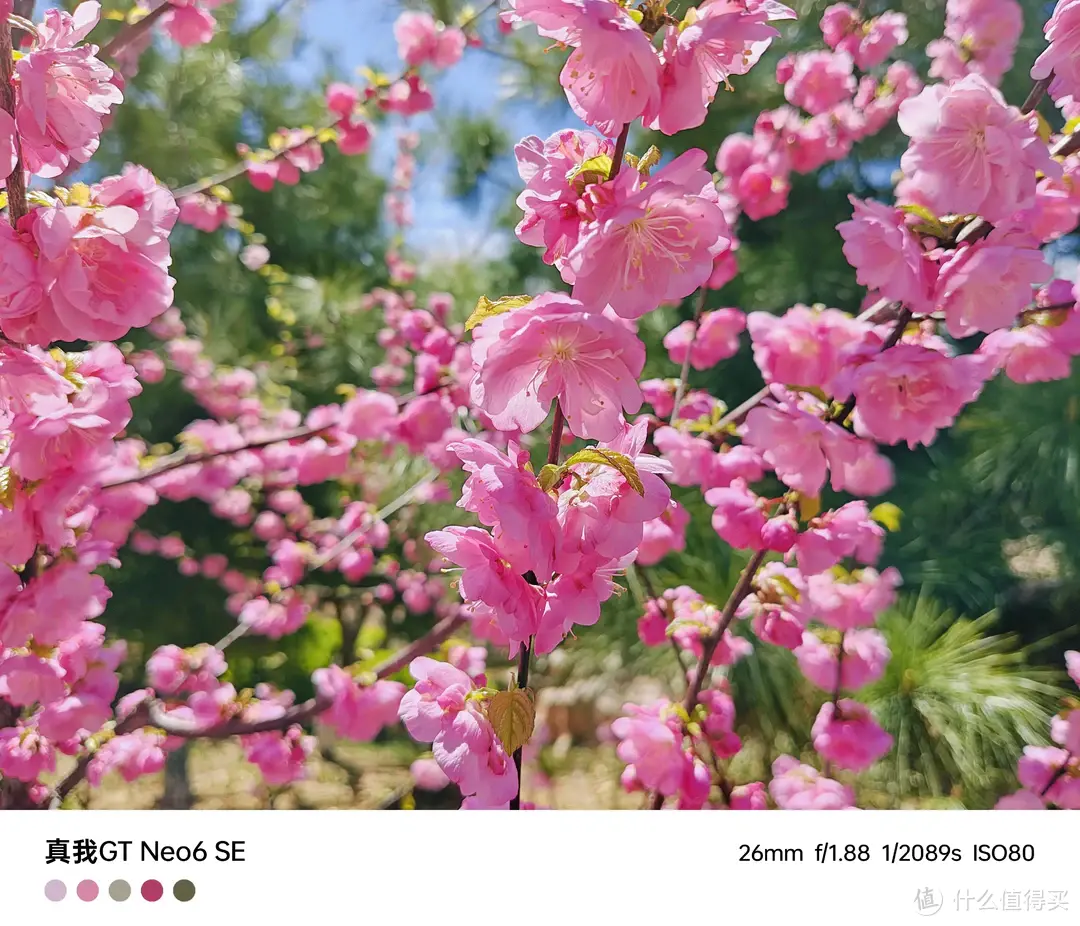 1699元起,全新“射门员”真我GT Neo6 SE上手评测!插图14 1699元起,全新“射门员”真我GT Neo6 SE上手评测!