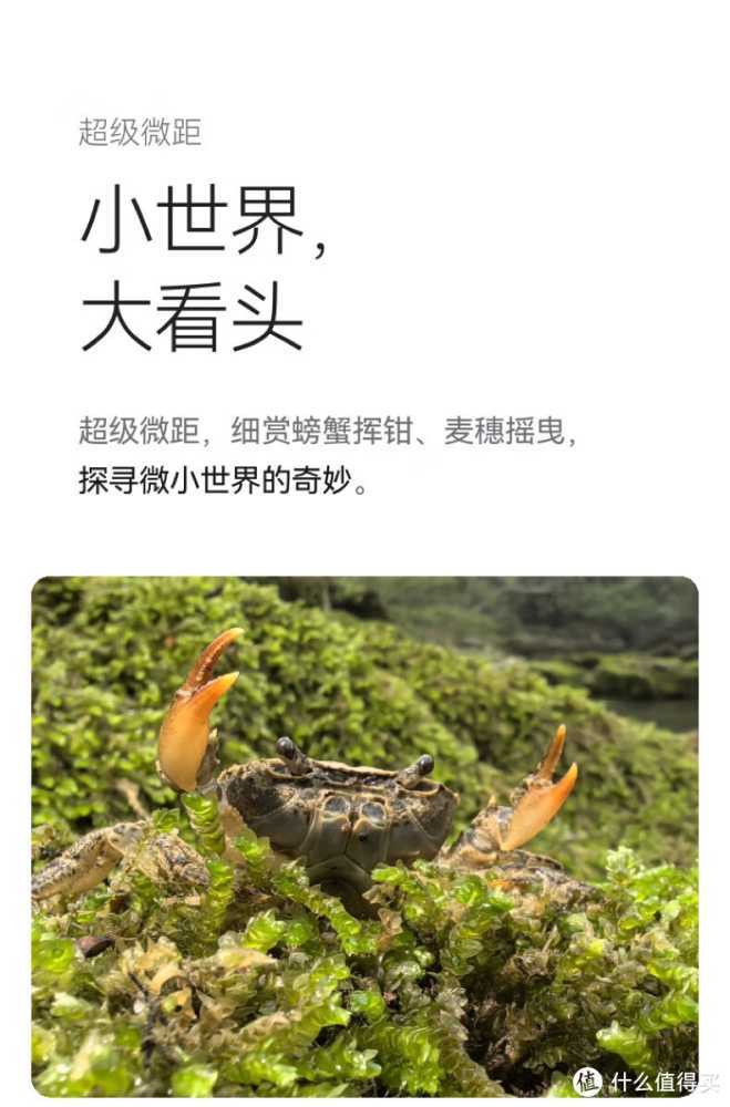 华为Pura 70各版本有何不同,超详细介绍,看完就懂!插图7 华为Pura 70各版本有何不同,超详细介绍,看完就懂!