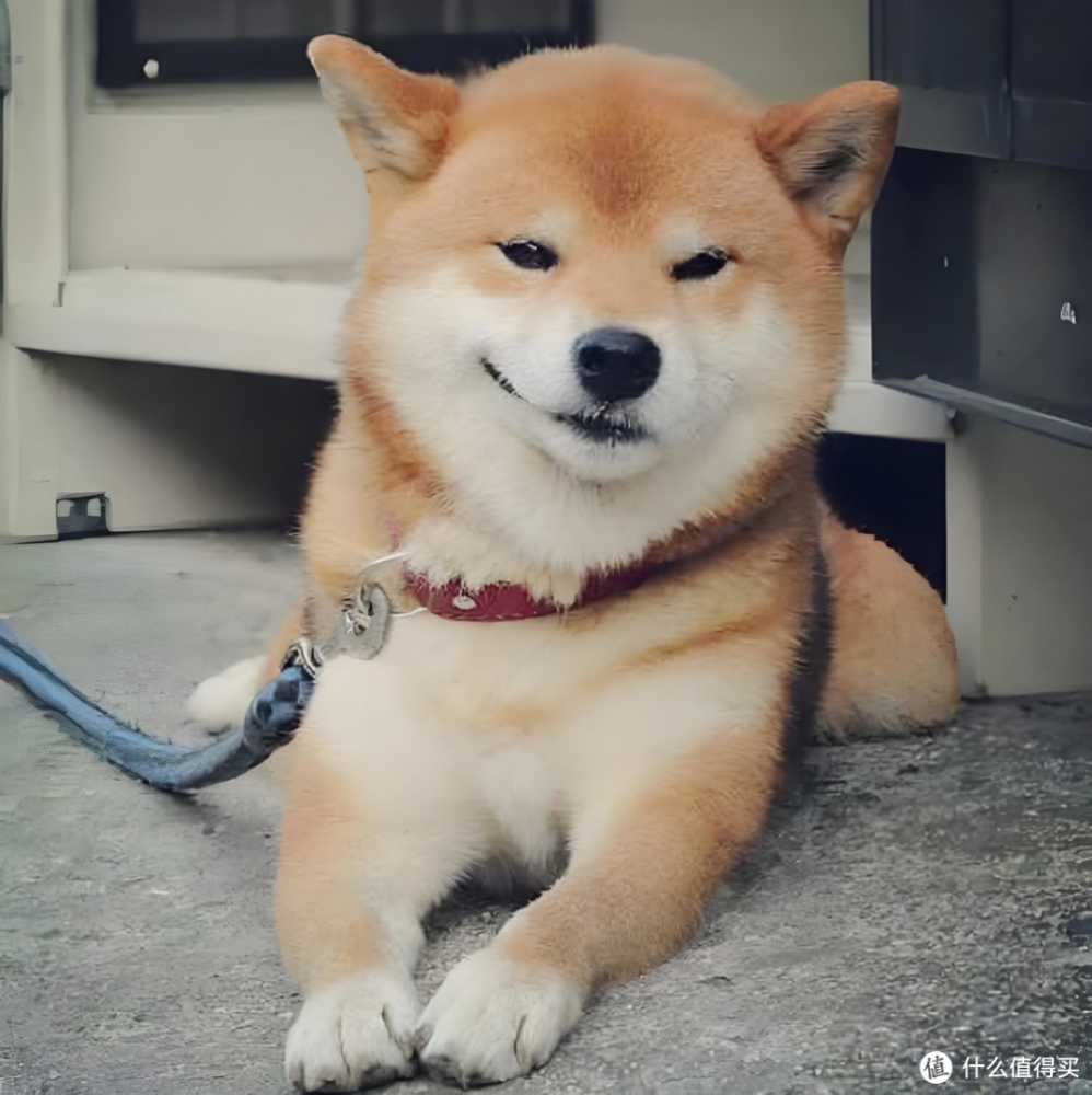 不到200块,高性价比5G手机,全款拿下!插图6 不到200块,高性价比5G手机,全款拿下!