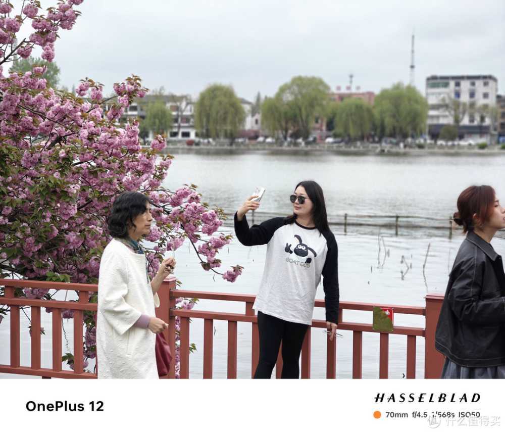 4000档拍照旗舰怎么选，一加12：我来拍你来看