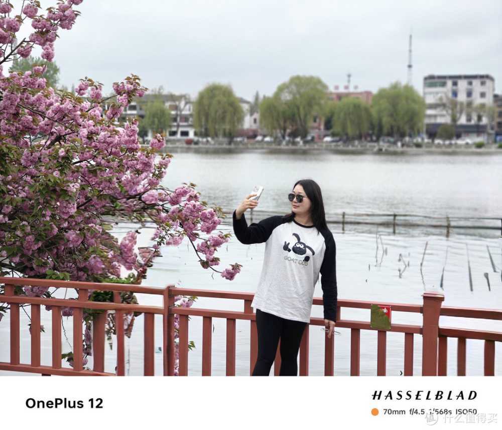 4000档拍照旗舰怎么选，一加12：我来拍你来看