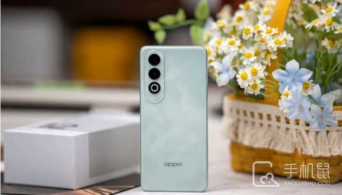 OPPOK12怎么更换主题?OPPOK12主题桌面的设置方法