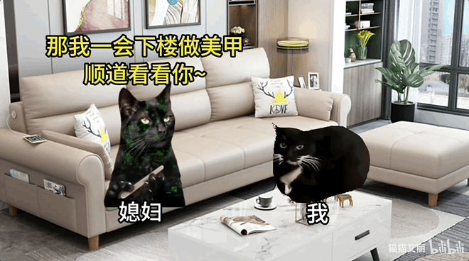 这届年轻人 正在用小猫演绎自己的精神状态