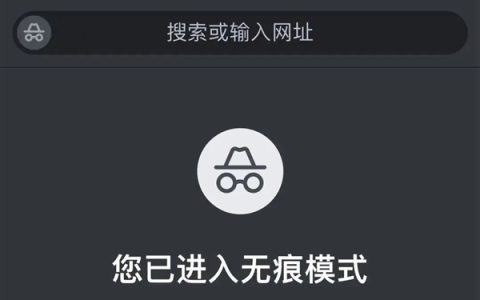 浏览器的无痕模式难道只是脱裤子放屁！谷歌差点赔了50亿