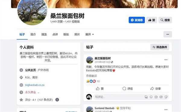 非洲人把猴面包树当祖宅用：移栽中国后 完全不一样了