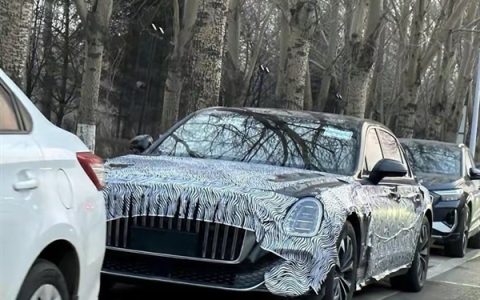 国产豪华天花板！红旗L级新车谍照曝光：气场比奔驰S级还强