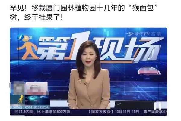 非洲人把猴面包树当祖宅用：移栽中国后 完全不一样了