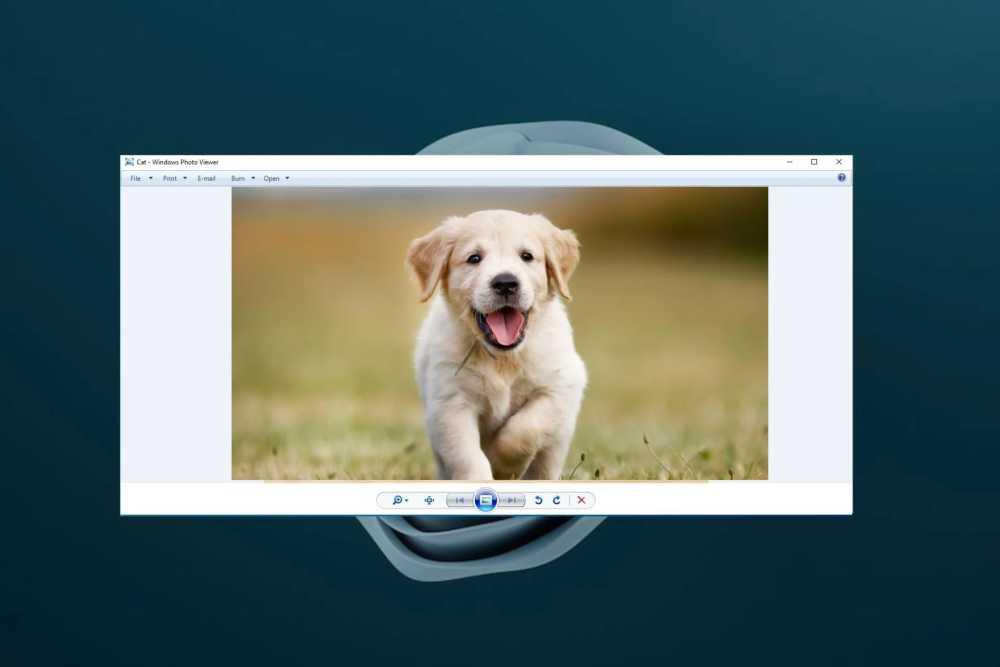 Windows照片查看器无法显示此图片怎么办