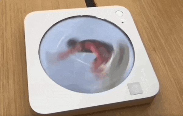 华为Pura 70闪拍功能意外爆火：CTO亲自下场解读技术原理